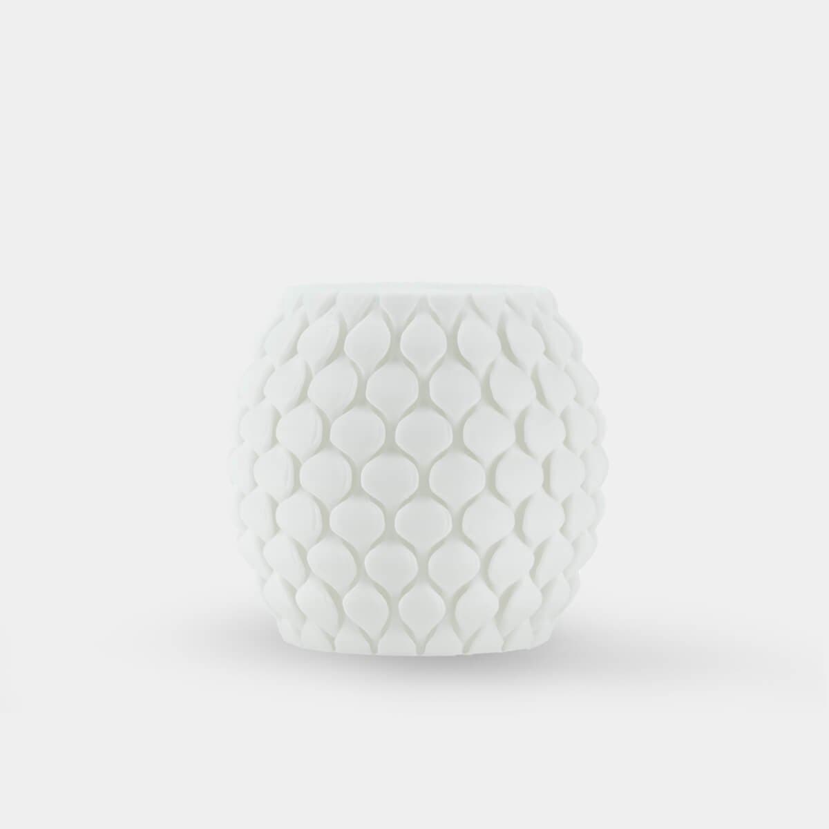 sunlu PETG white