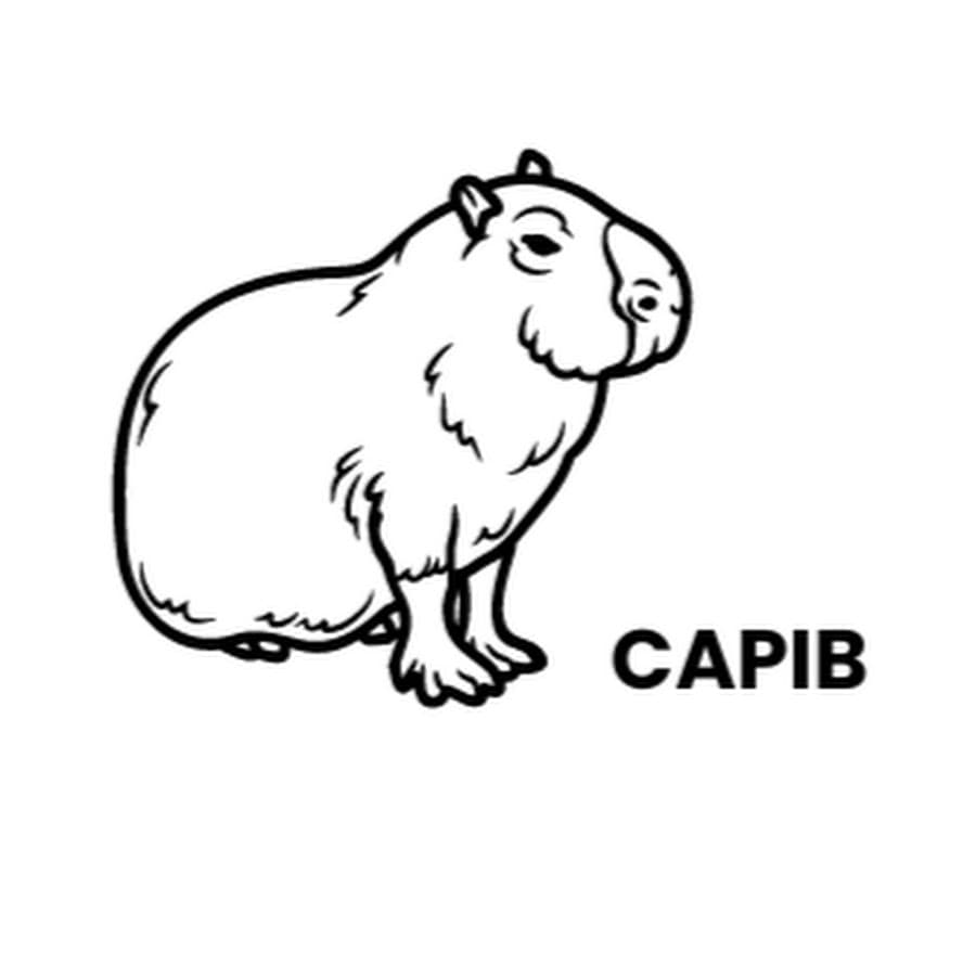 Capib