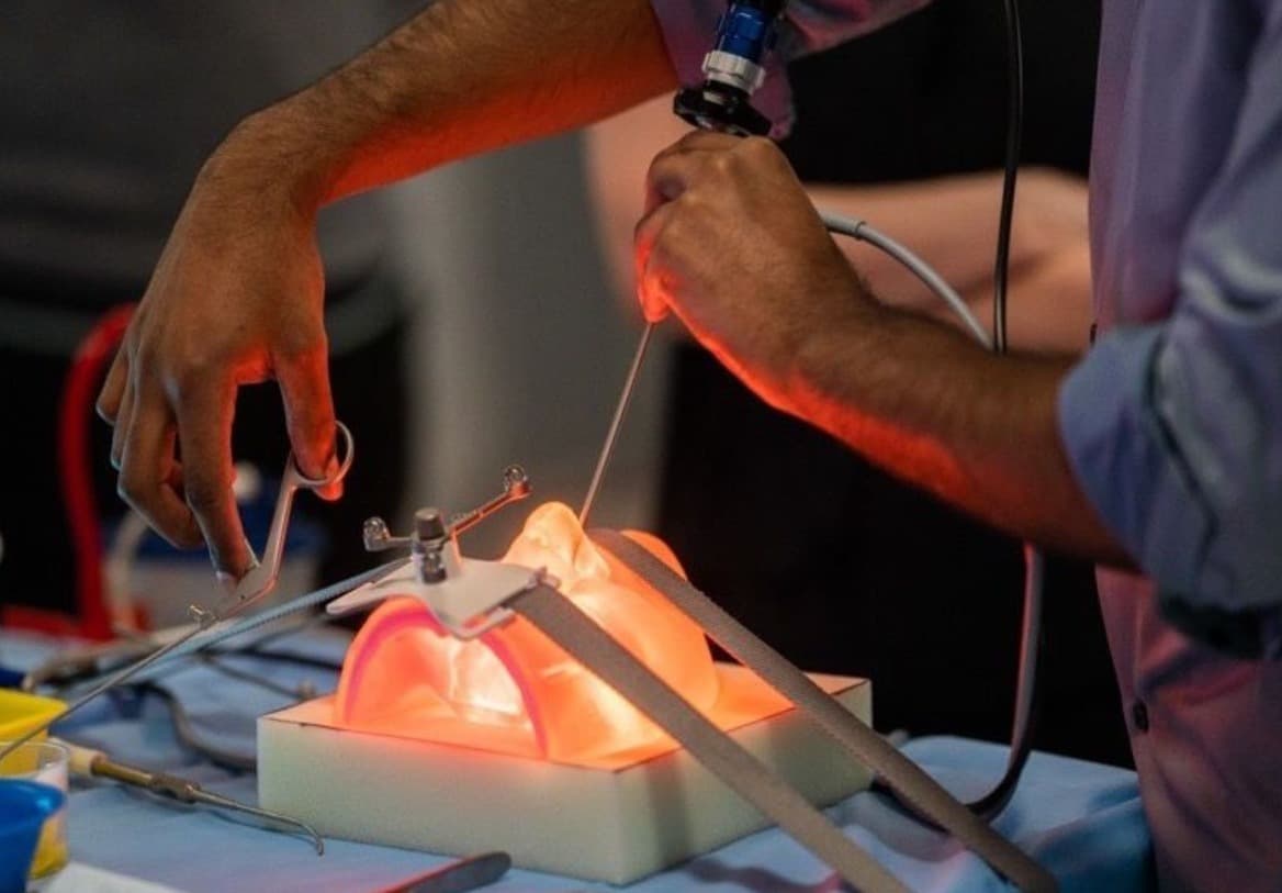 Universitatea din Adelaide va dezvolta modele dentare de instruire imprimate 3D multimaterial