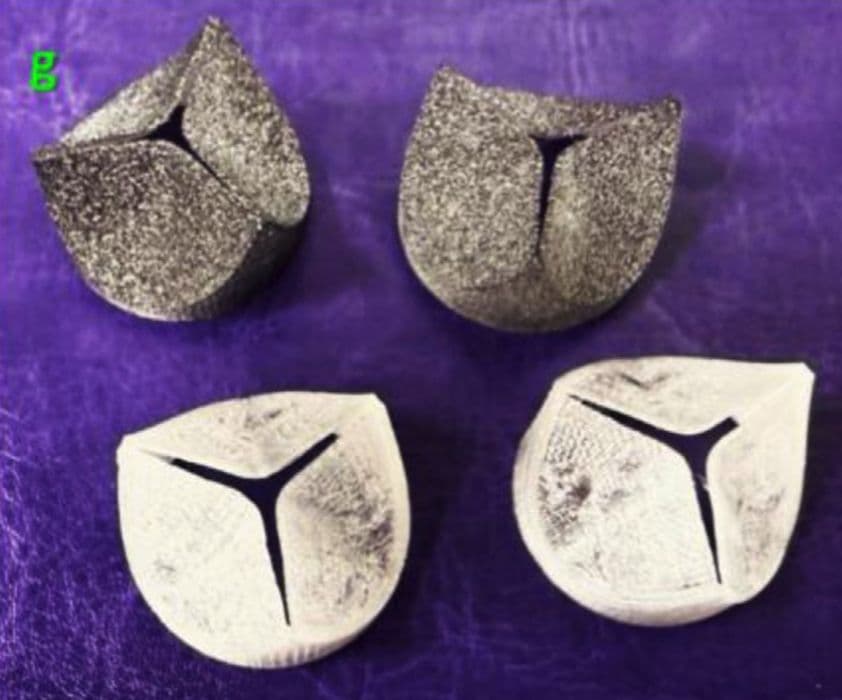 Valvele printate 3D pot fi ajustate prin traseul de imprimare